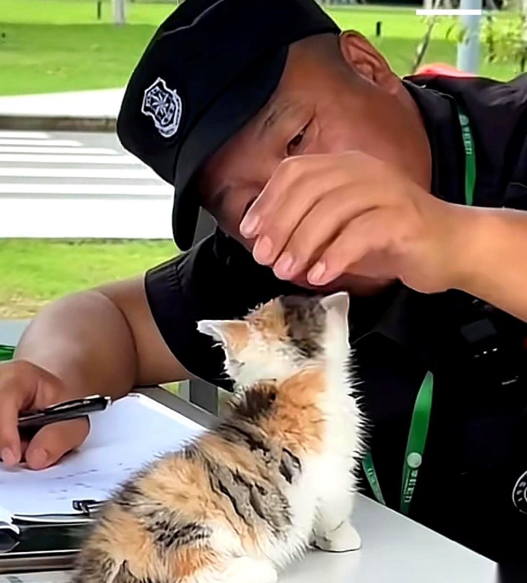 保安老孙把自己的零食掰碎，放在瓶盖里，推到一只小猫面前。小猫就他巴掌大，浑身哆