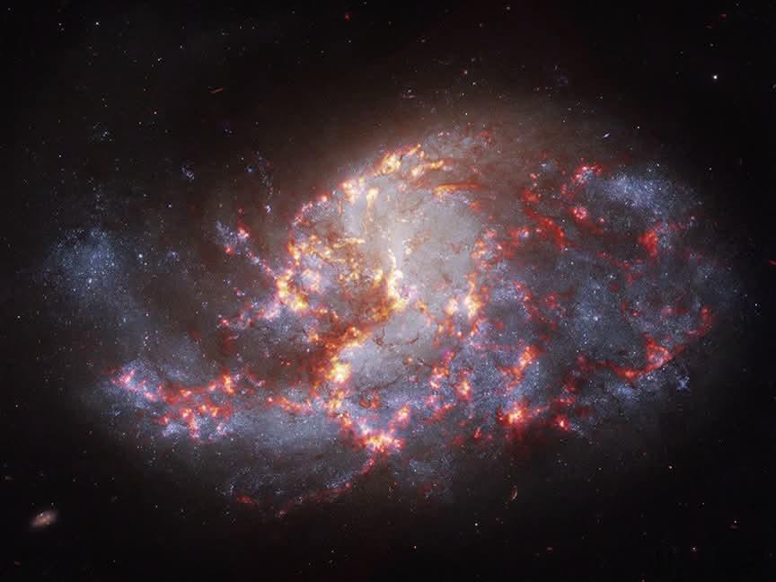 NGC1385：一条因恒星诞生而炽热的棒旋星系在炉座星座中，距离大约30–5