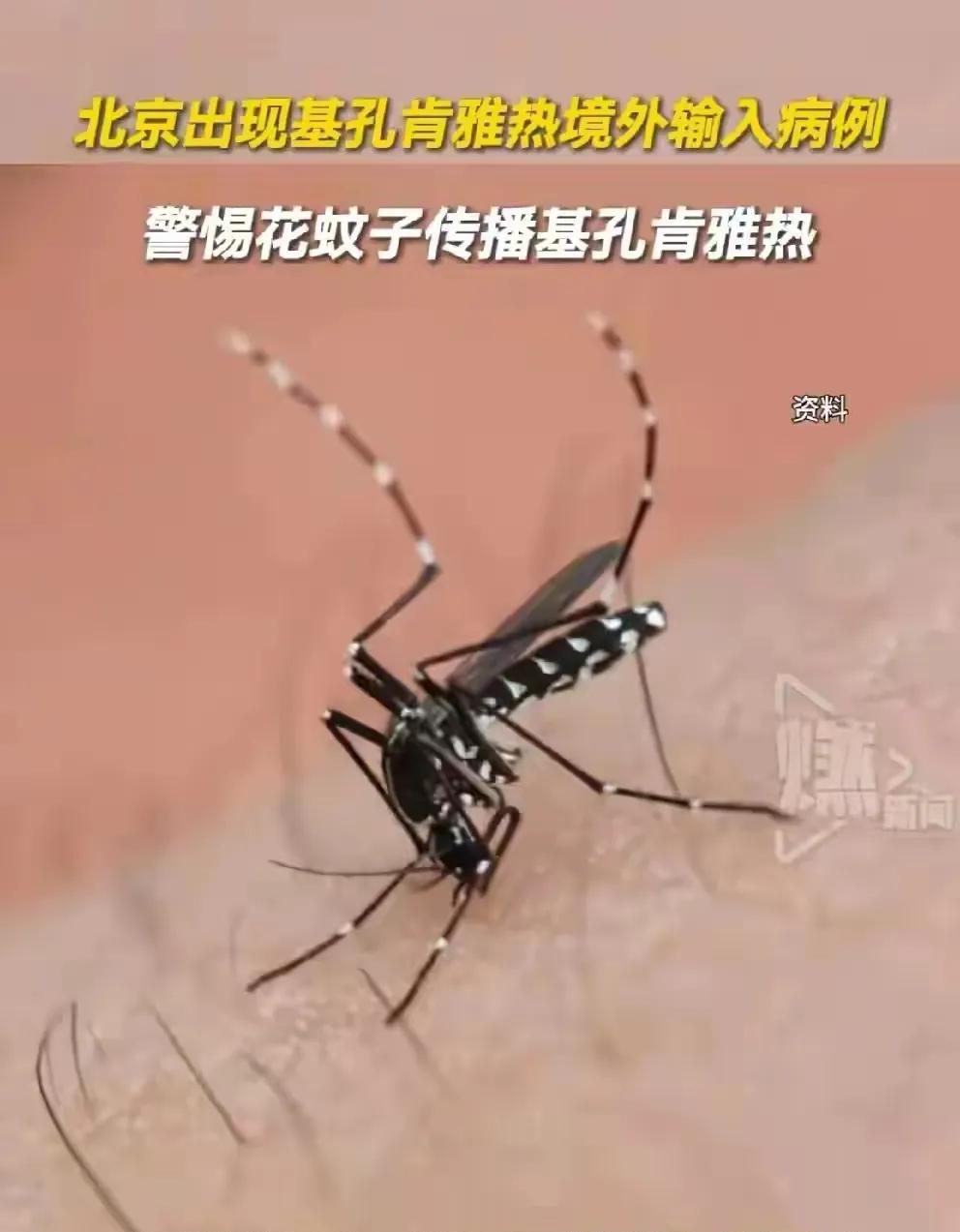 基孔肯雅热，在中国广州爆发了，现在北京已经出现了，其它地方还能坚持多久？这个病