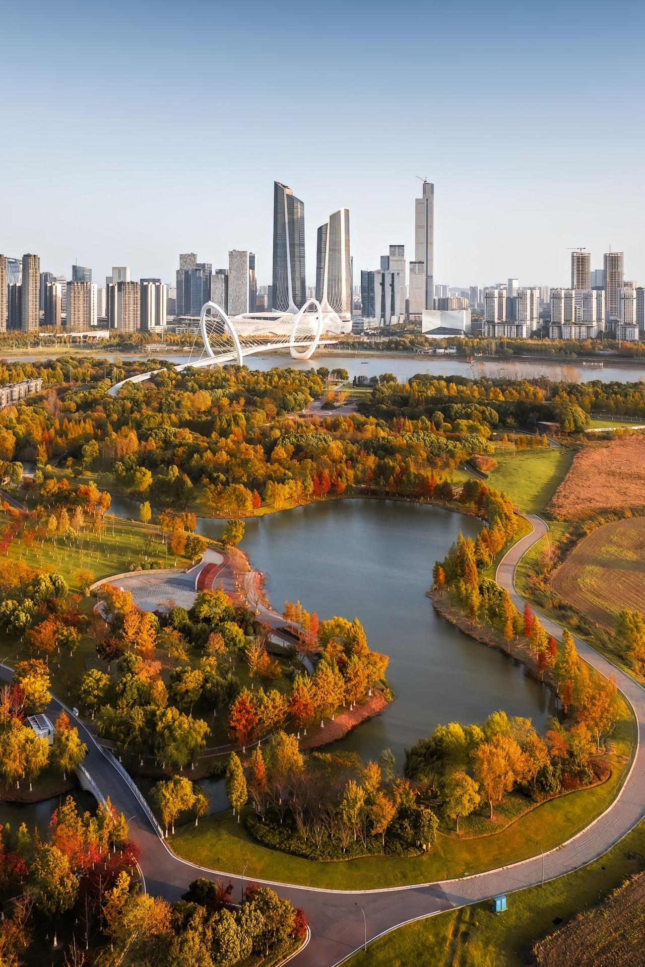 我的师兄是南京某双一流高校的老师。他家孩子上小学五年级时，他就给孩子讲初三的知识