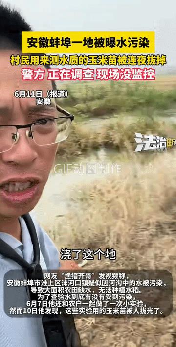 不是干旱死的，也不是水浇多了被淹死的。从动态图上可以看出，这毒性不是一般般的大