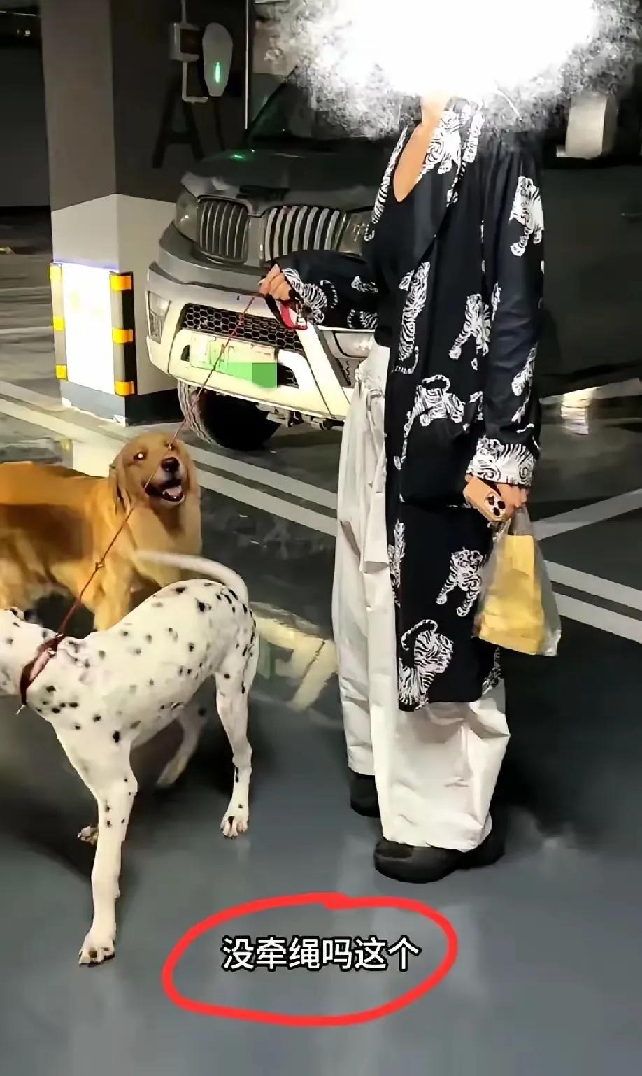 成都。某小区地下车库。一名女子牵着两只狗进入，金毛没栓绳，冲向抱孩子的宝妈，宝