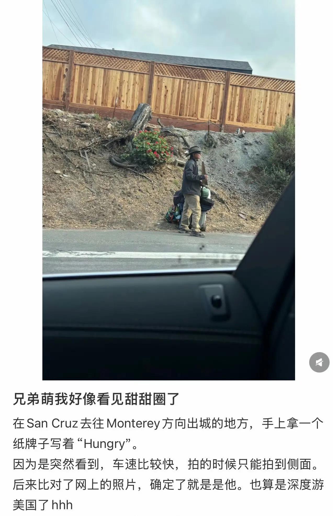 甜甜圈竟然还健在？最近有传说美国网友拍到甜甜圈继续在街上流浪。如果是真的，那就