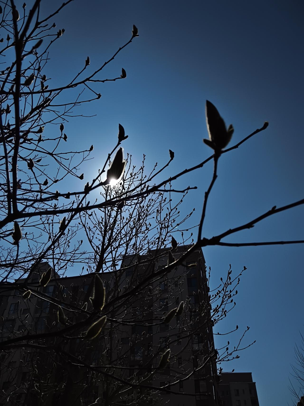 “无忧无虑”真幸福办公室里有三个年轻人，也就是工作了三五年，家境