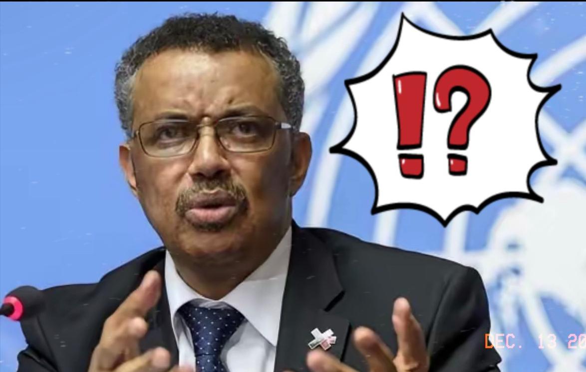 联合国对待东方大国的态度，一直以来都是爱搭不理，要么不理，要么潇潇洒洒地把东方大