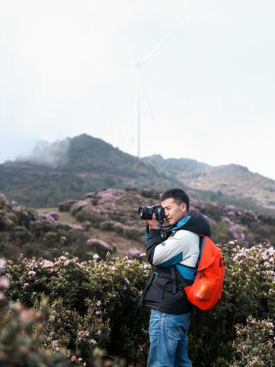 花期预告 | 清明必冲！乌蒙高山杜鹃花海