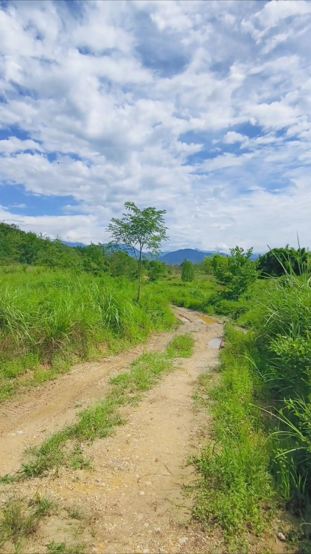 人到晚年才懂：最凉不过人心，最真的只有自己人这一辈子，年轻时总以为真心能换