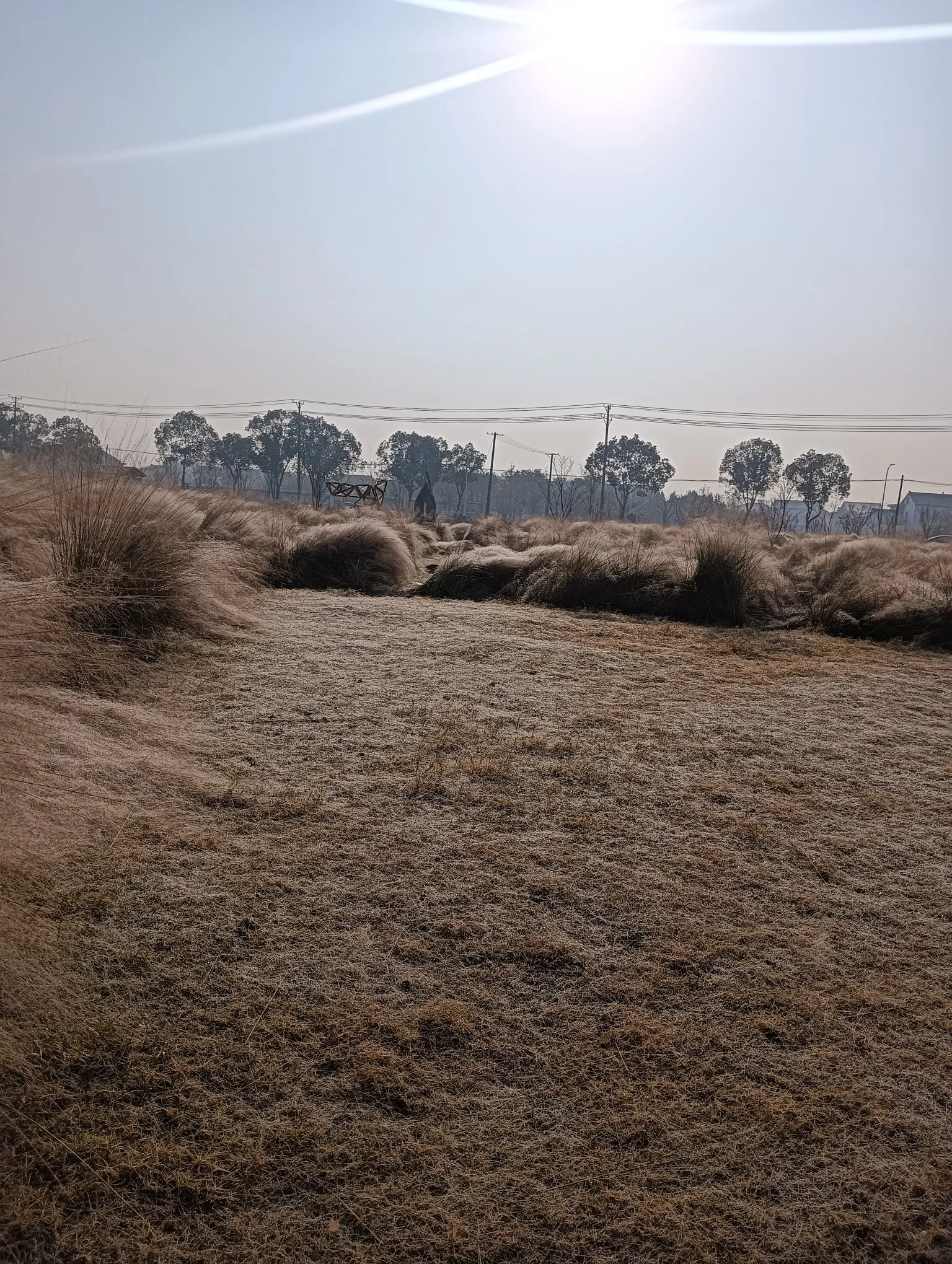 大哥年轻时，是个“酒迷子”（老家话，和“酒鬼”差不多一个意思）。大...
