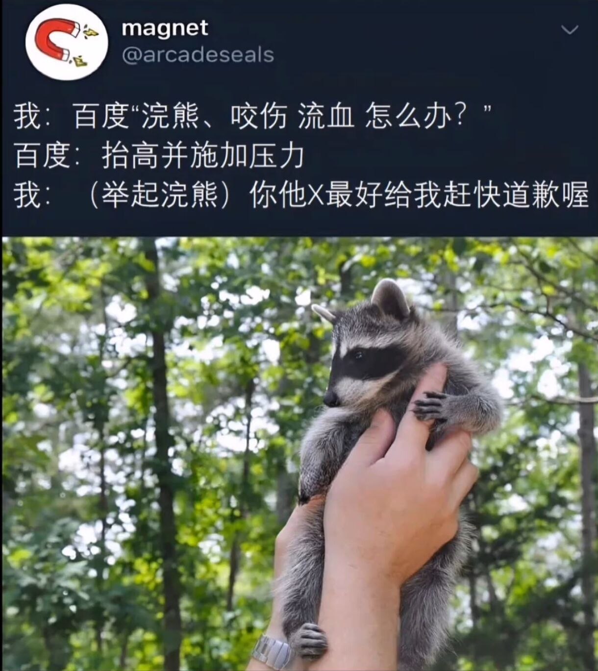 赶紧道歉