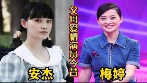 《父母爱情》这部剧，真是常看常新，每一次重温都能品出不同的味道。它之所以能成为大