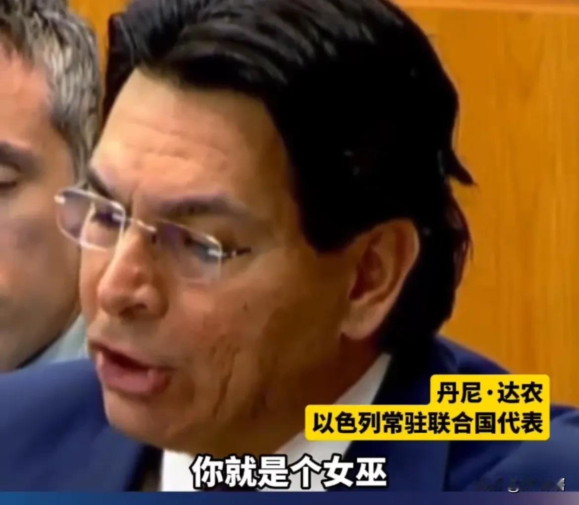 【遇到硬茬了,以色列驻联合国代表遭联合国专家回怼】近日,以色列常驻联合国代表