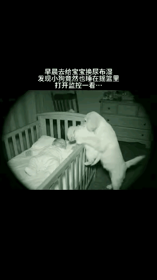 彻底解释不清楚了！女子早上起来给宝宝换尿不湿时，发现家里的小狗也睡在摇篮里！可是
