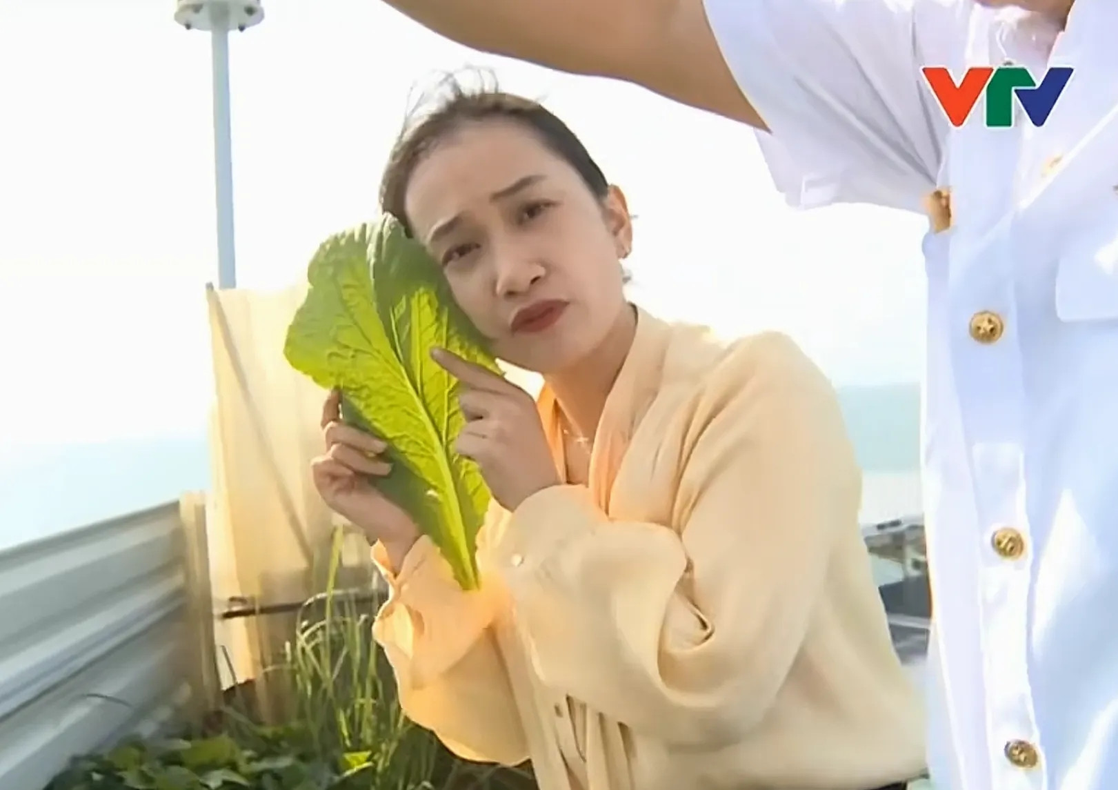 菜叶比脸大！越南媒体展示万安滩高脚屋，越军自给自足，坚决不走2024年的时候，