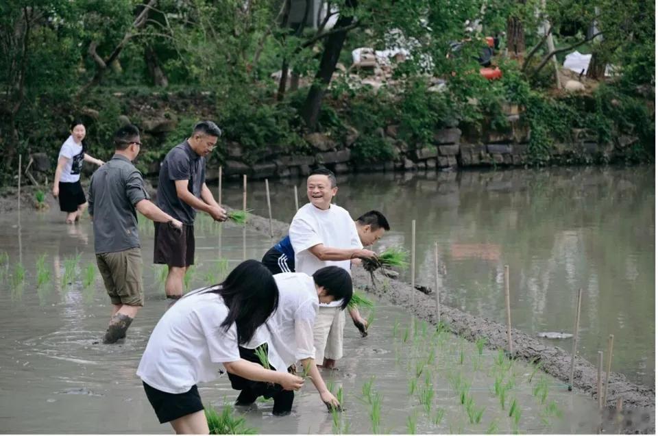 感觉很久没看到马云新照了。阿里合伙人、高德董事长刘振飞，在阿里内网发文称：手里有