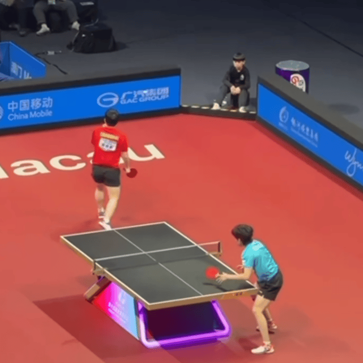 王楚钦真的太幽默了。。