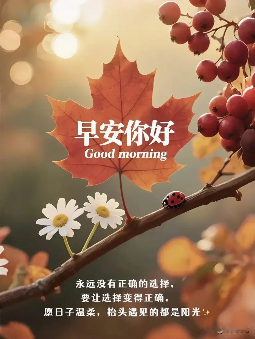 伴随着早安问候，你幸福每一天！伴随着由衷祝福，你快乐每一天！伴随着亲切寄语，你