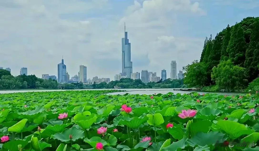 不得不承认，南京曾经比杭州厉害，即便在2016年之前也是如此。我十多年前去南京的