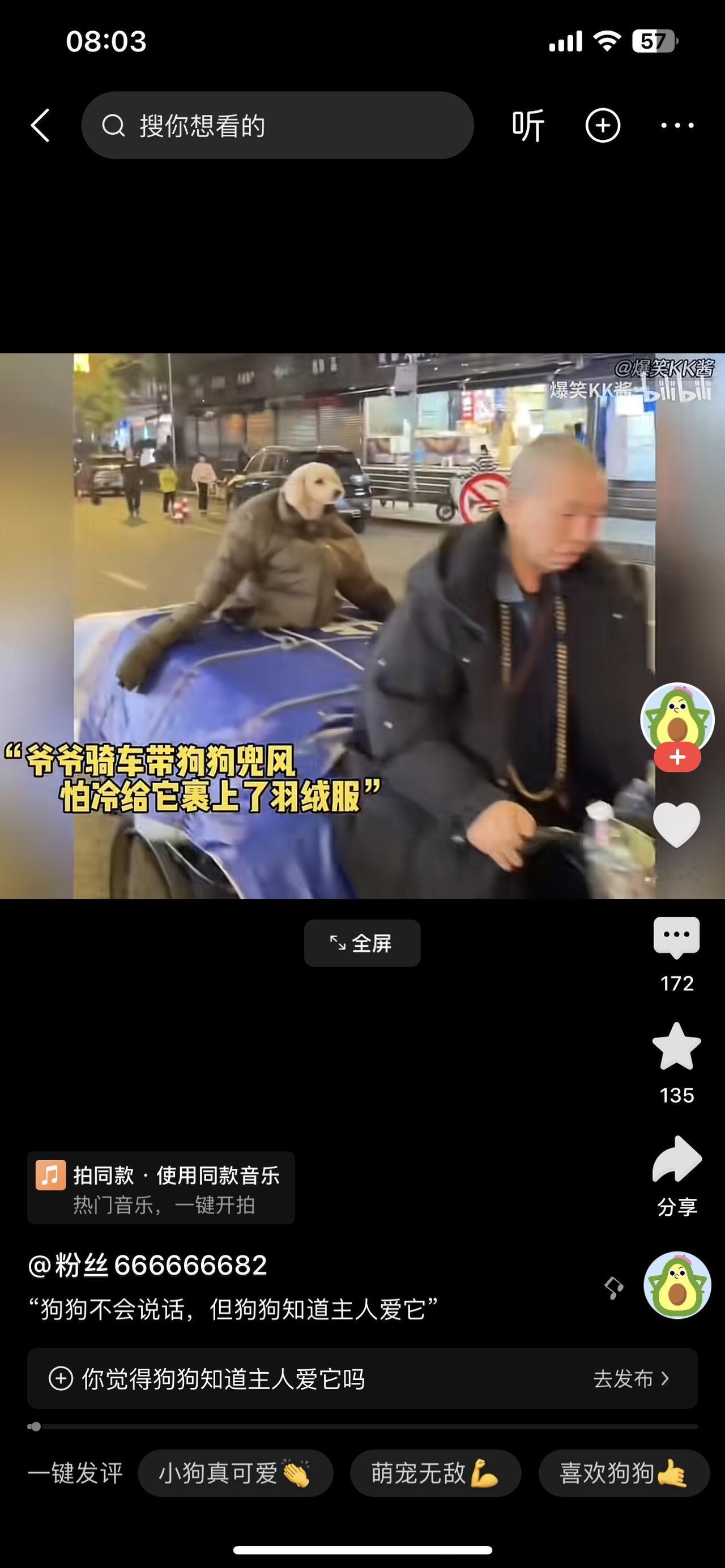 狗狗不会说话，但狗狗知道主人爱它……狗狗夜晚的街道上，爷爷骑着带侧斗的车，侧