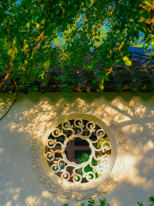 为了这些花窗光影，我去了无数次苏州园林…