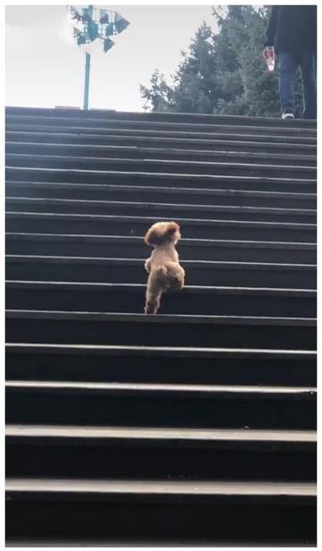 如果40岁你还没有被提拔，不一定是你能力不行，是因为你没有被提拔的价值！孔子说