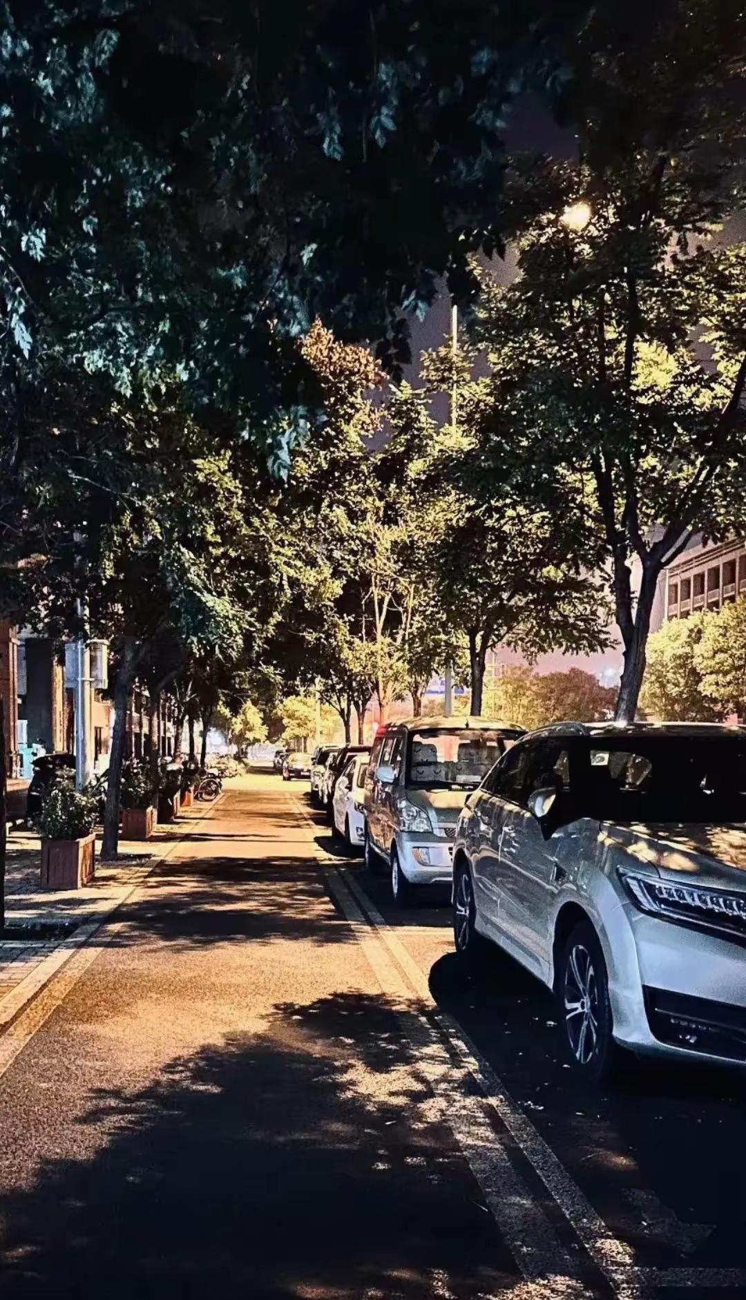 从25岁到29岁之间听到最多的话就是：你还不找对象结婚!好像我不结婚犯了天条，不