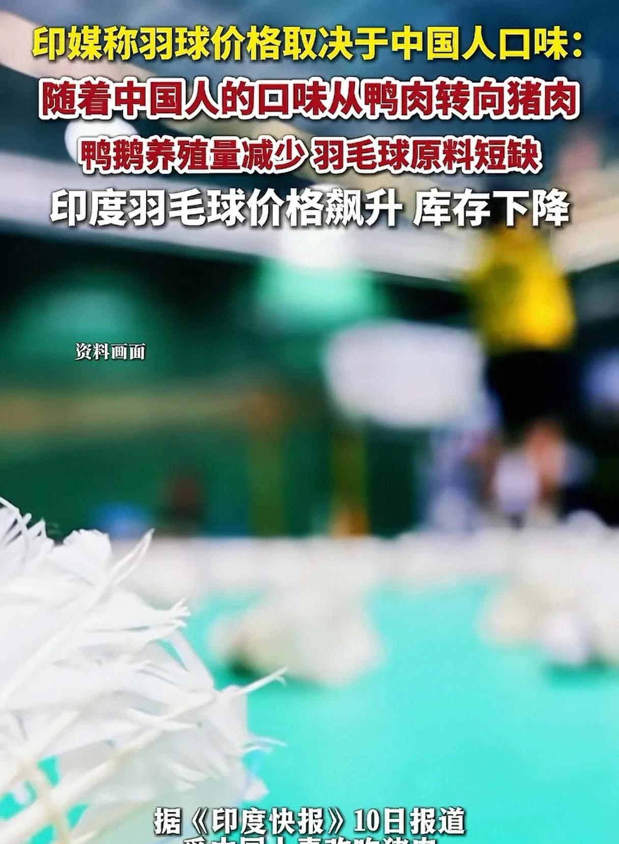 羽毛球也有蝴蝶效应？随着中国人的口味从鸭鹅肉转向猪肉，导致鸭鹅养殖量减少，从而羽