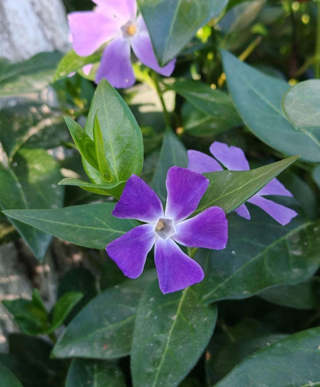 杭州11年老员工被裁：月薪4万5降1万5留任，18万补偿藏着职场最现实的凉薄