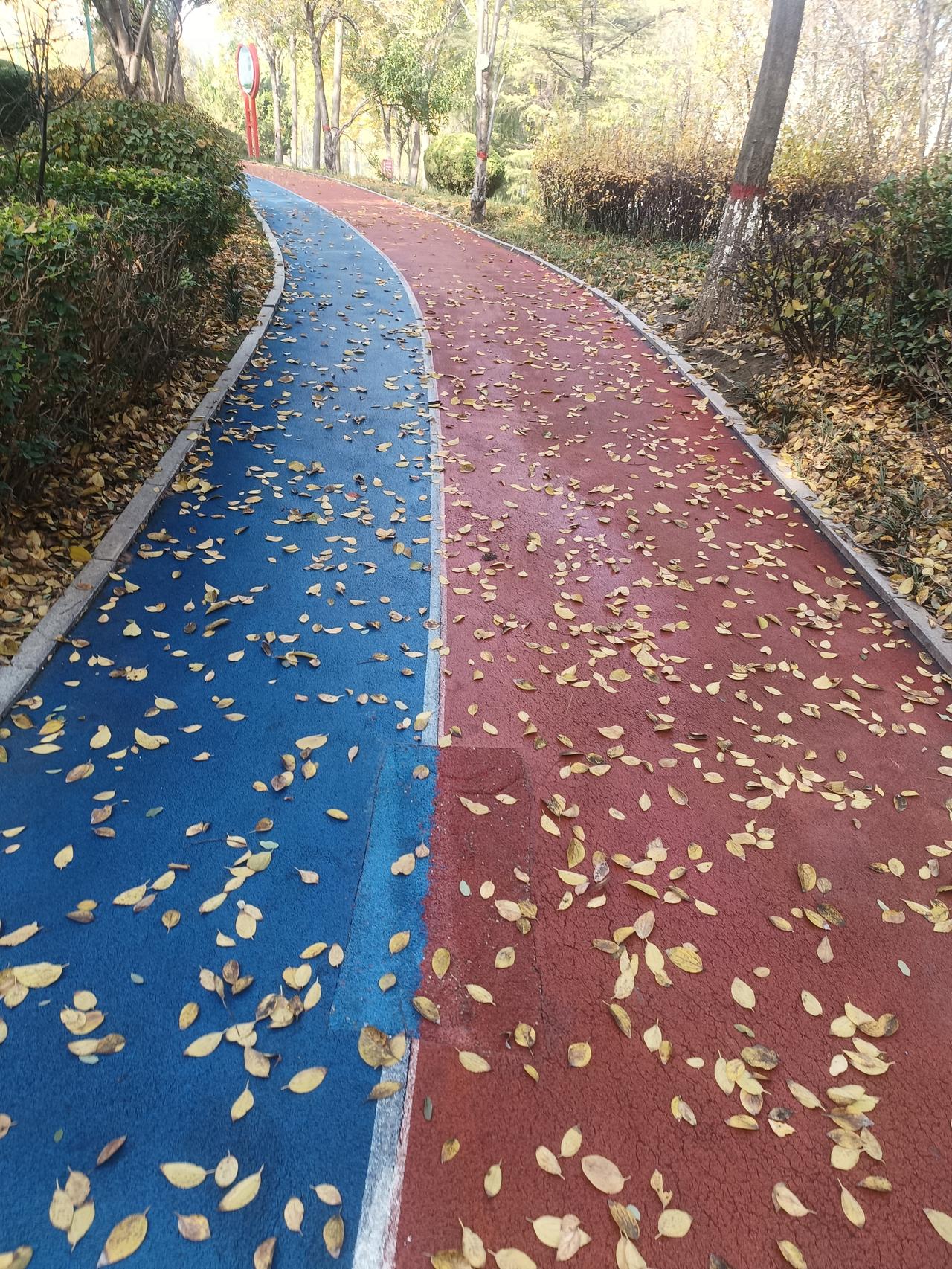 孩子早上上学没多大一会儿，突然接到班主任的电话，看着班主任的来电提醒，脑子瞬间开