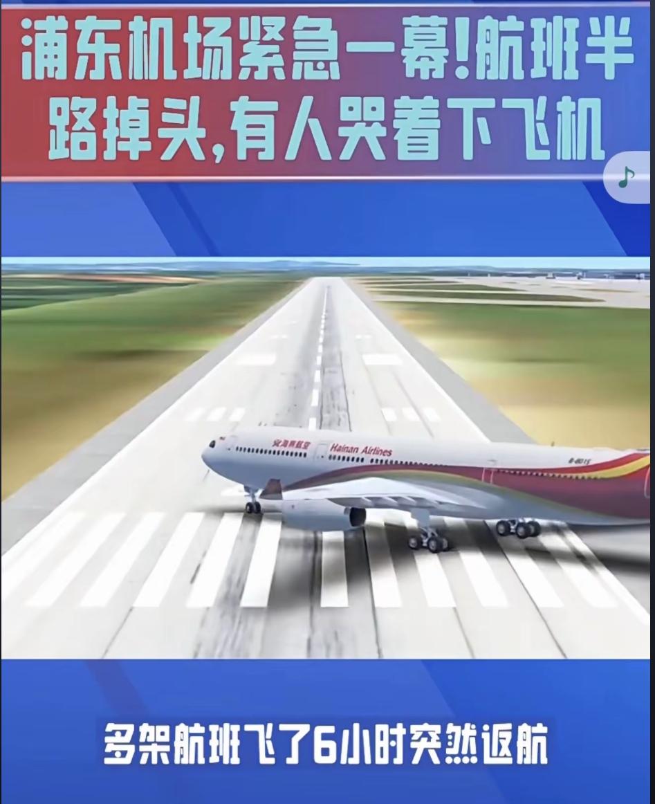 昨天深夜，上海浦东机场的到达大厅里，此起彼伏的叹气声压得人喘不过气。几架原本飞往