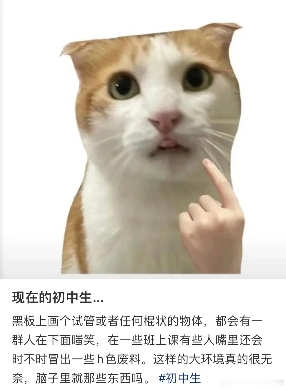 现在的初中生…​​​