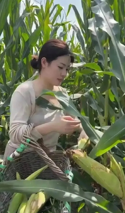 我在儿子家带娃二年！偶尔媳妇占上风拌嘴时我从来不吱声！有一次是儿子不对！回来家