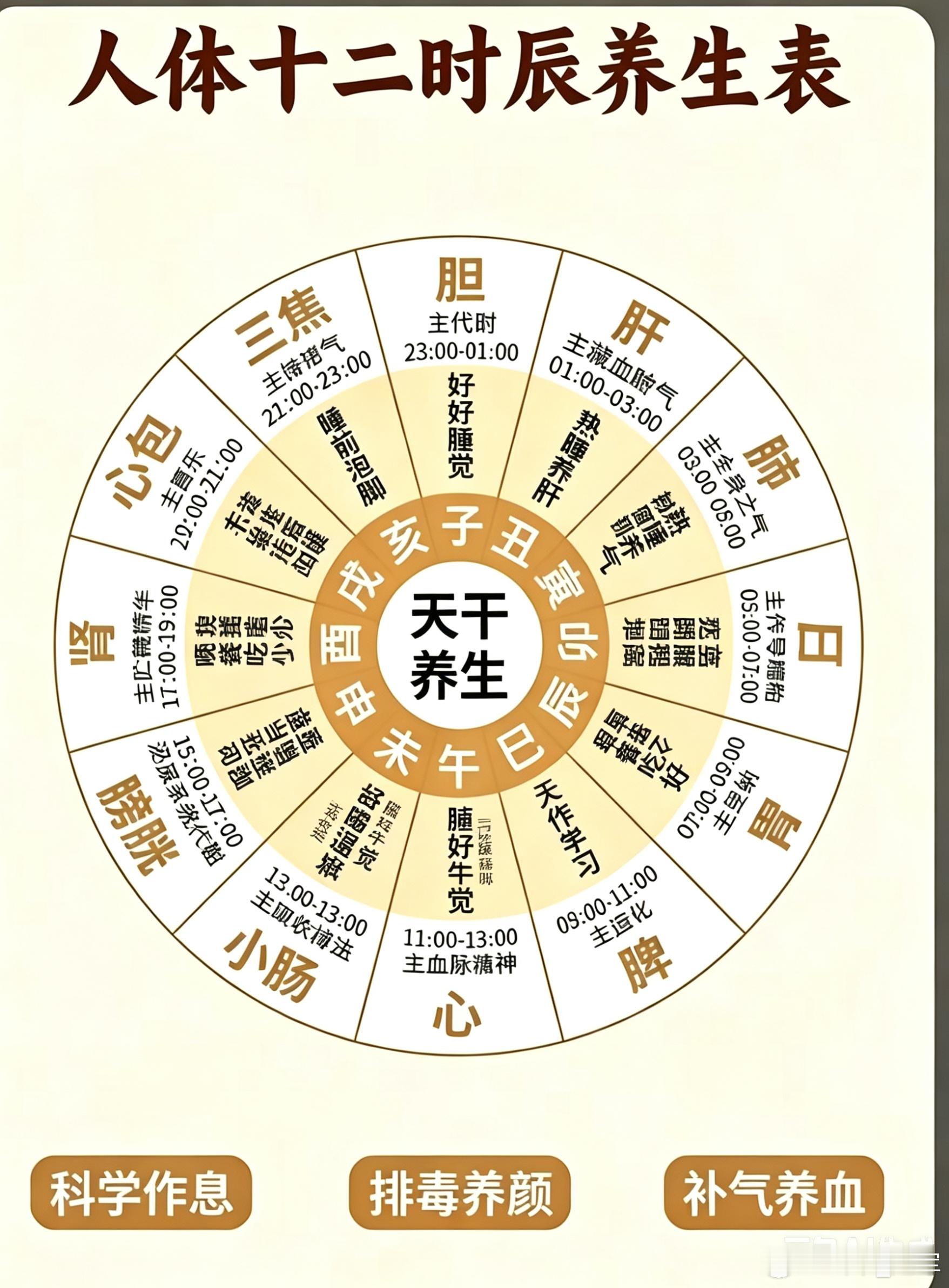 十天干万物生长全过程释义甲：包裹保护初生藏敛，元气裹藏，万物初萌，受护而生乙：屈
