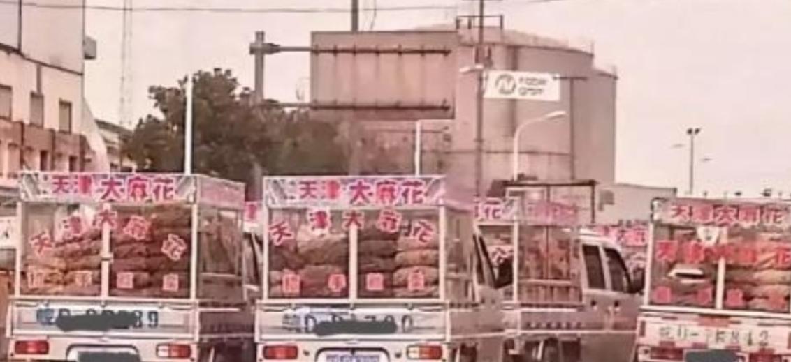 2000年，神秘组织“天津大麻花”，明明没人买却走遍全国，如今才彻底明白，里面竟