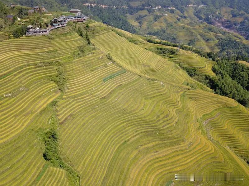 这两年国内回流的人多了，也是帮助楼市企稳的一个小动力了。就是这两年国外通胀很明