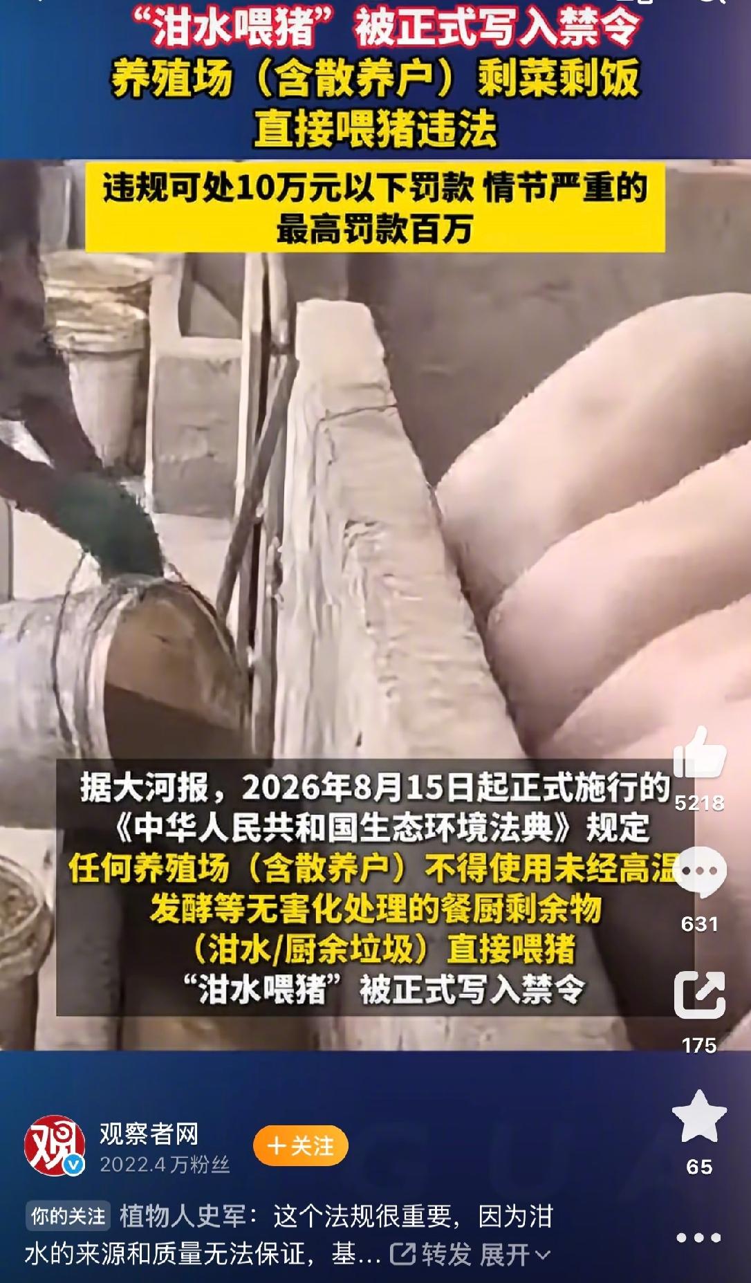 8月15号开始，用剩饭剩菜直接喂猪，违法了。《生态环境法典》白纸黑字写着的：