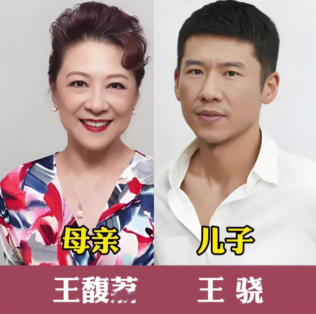 星母与星子：颜巅峰之争