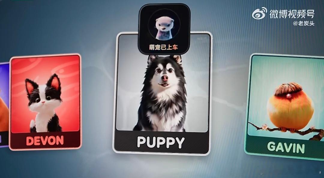 我最想停止的倒计时作为养过哈士奇、拉布拉多和法斗的家长，这次雷总真的戳中我了，以