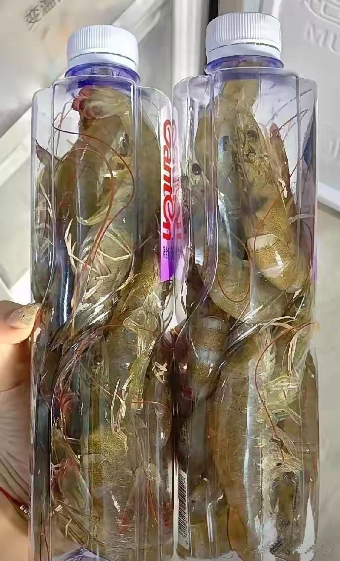 在网上看到有人把买来的新鲜活虾灌进矿泉水瓶子里，盖好放冰箱冷冻起来，留着冬天吃，