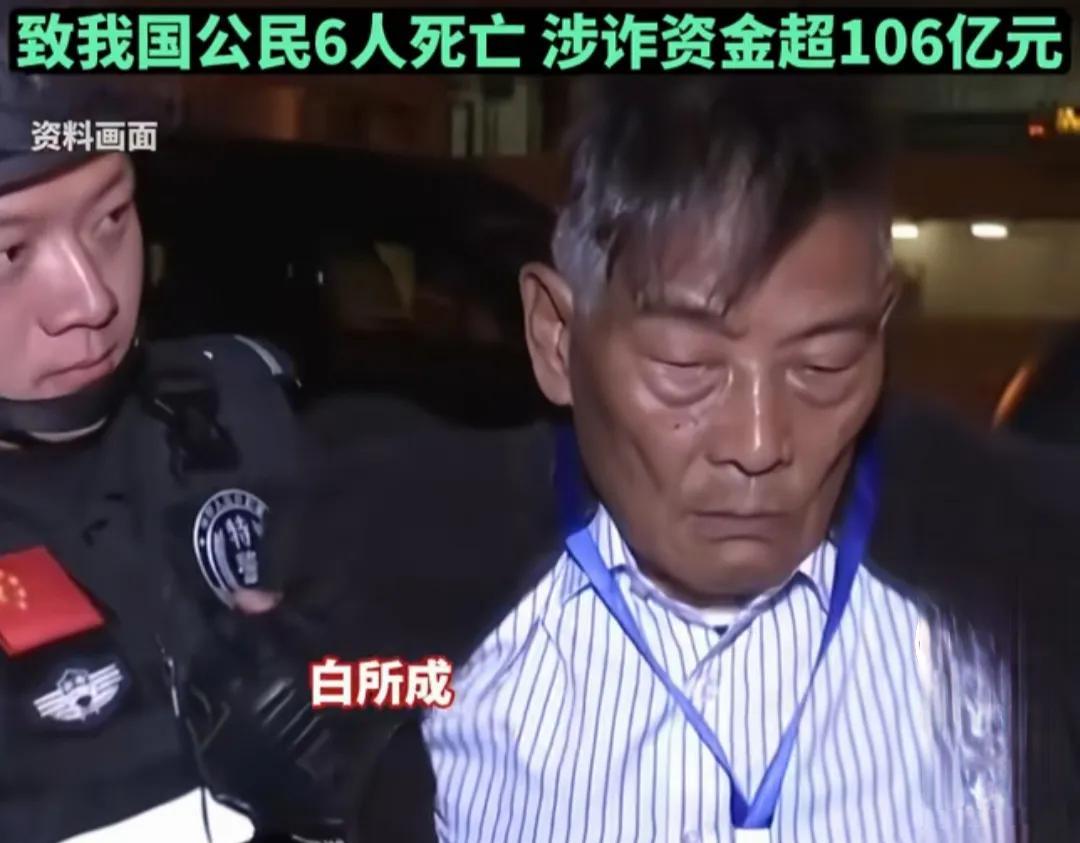 大快人心！缅北电诈集团白家终于自食恶果了，看到他们被押解出来的画面，全网都在叫好
