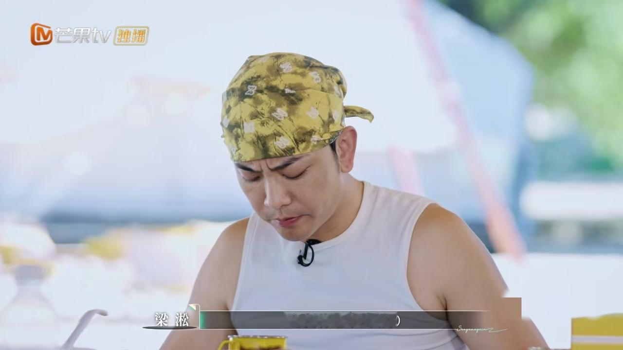 太伤人了梁淞说何美延没勇气离开他，他表示:“何美延没办法独立，她没有这个实力。