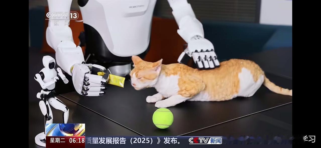 刚刚看到全球首个具身智能强化学习机器人，已经在工厂投入使用了，尤其那双像人类一样
