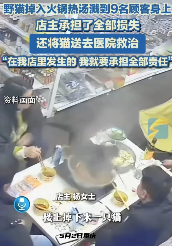 活该这位老板发财！5月2日，重庆某火锅店生意火爆，座无虚席。就在顾客兴致勃勃的