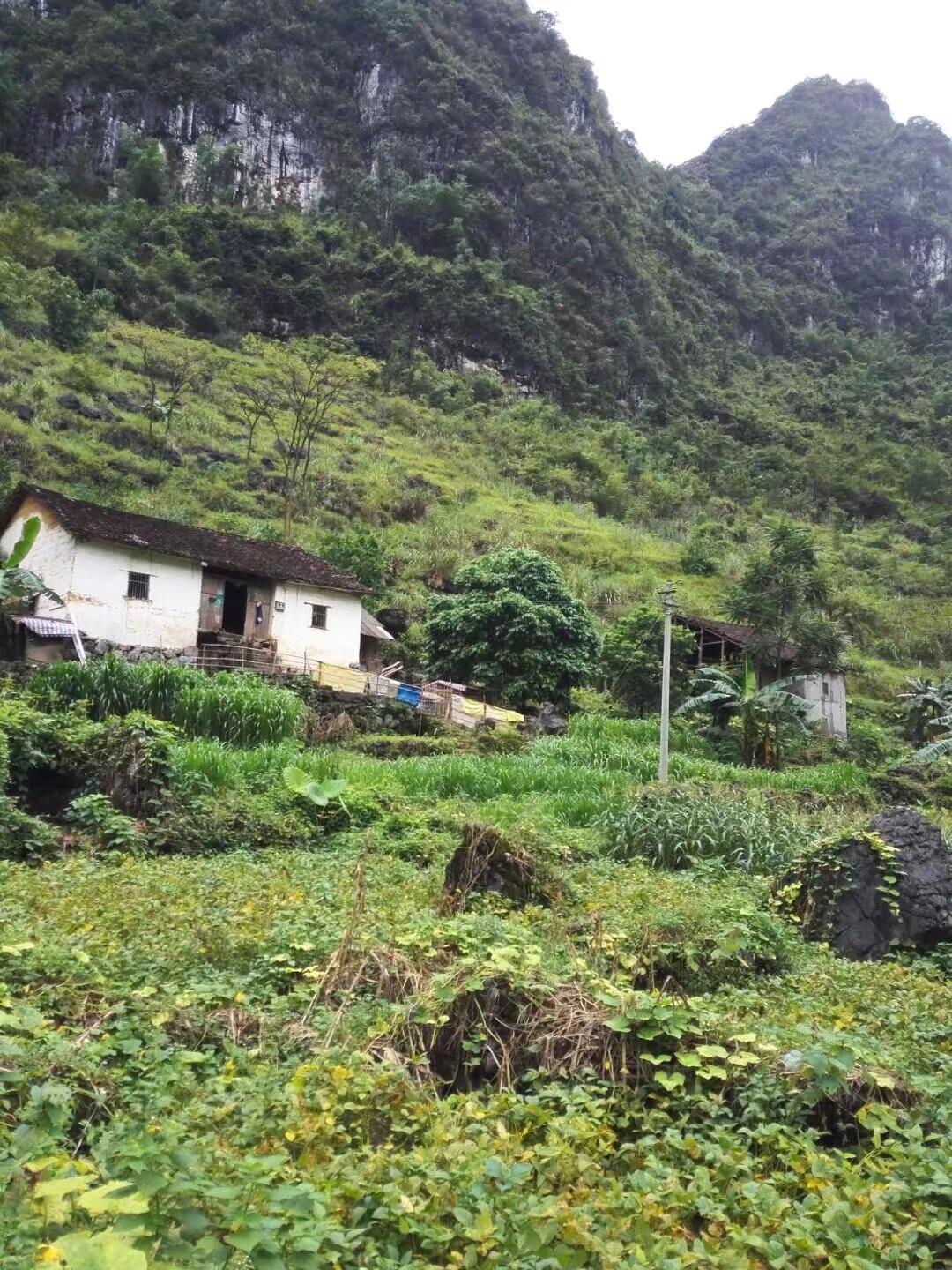 这一程走的好累，人累，身累，心更累，无人能懂，无人能诉说，回头看看自己都会自己心