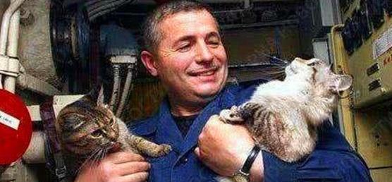 航母上为什么要养猫？是为了抓老鼠？那你就错了，现在航母上的猫可不是为了抓老鼠，而