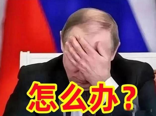 谁能想到，三年多的俄乌战火没有把乌克兰压垮，相反倒是将他们逼成了“军工界学霸”。