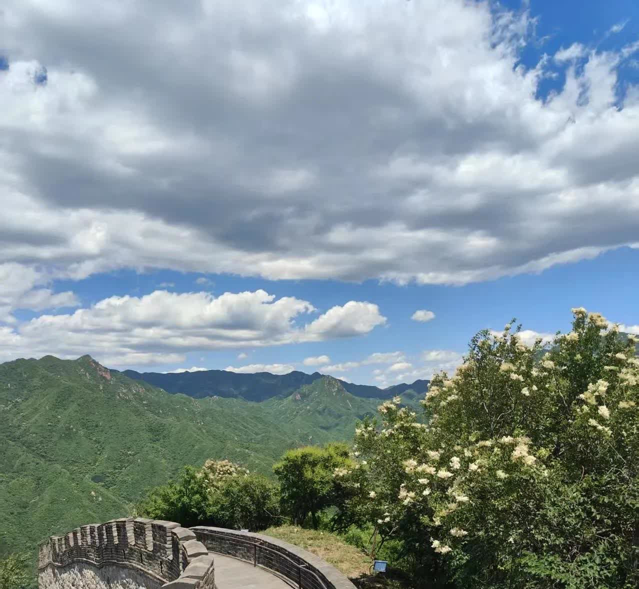【观察】车辆闲置严重1.小区车辆，数了一下，100个车位上，工作日一天也就有