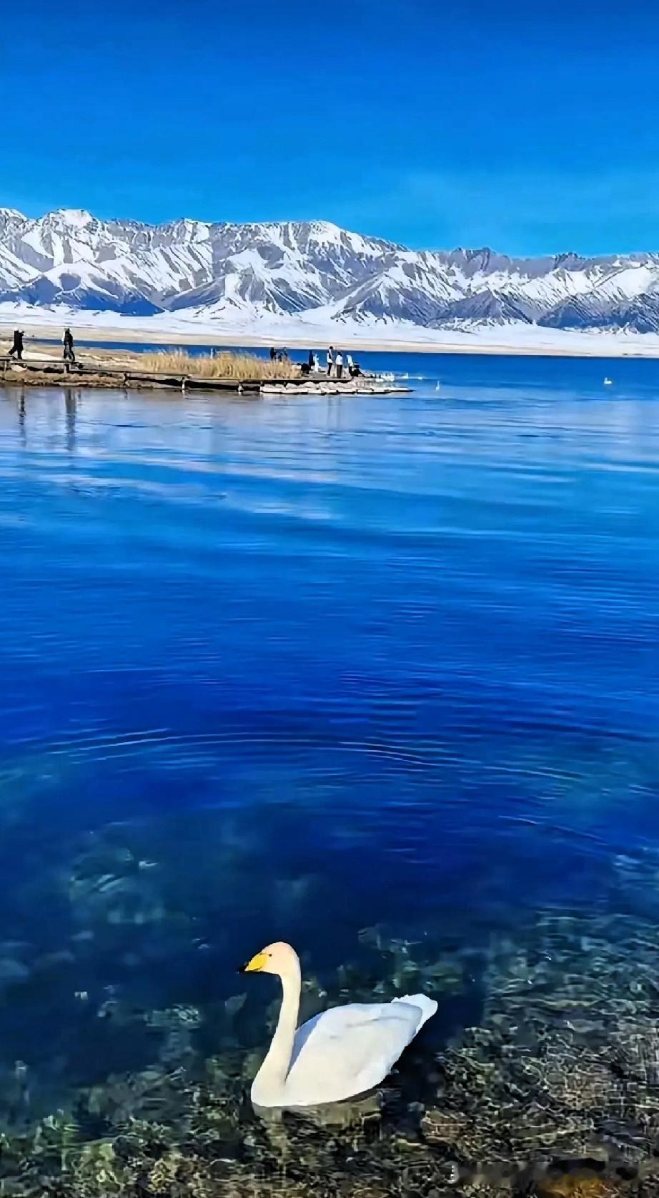 昨晚10点，一位朋友正在中央八台的电视剧时，电视突然弹出提示框：“尊敬的客户，你
