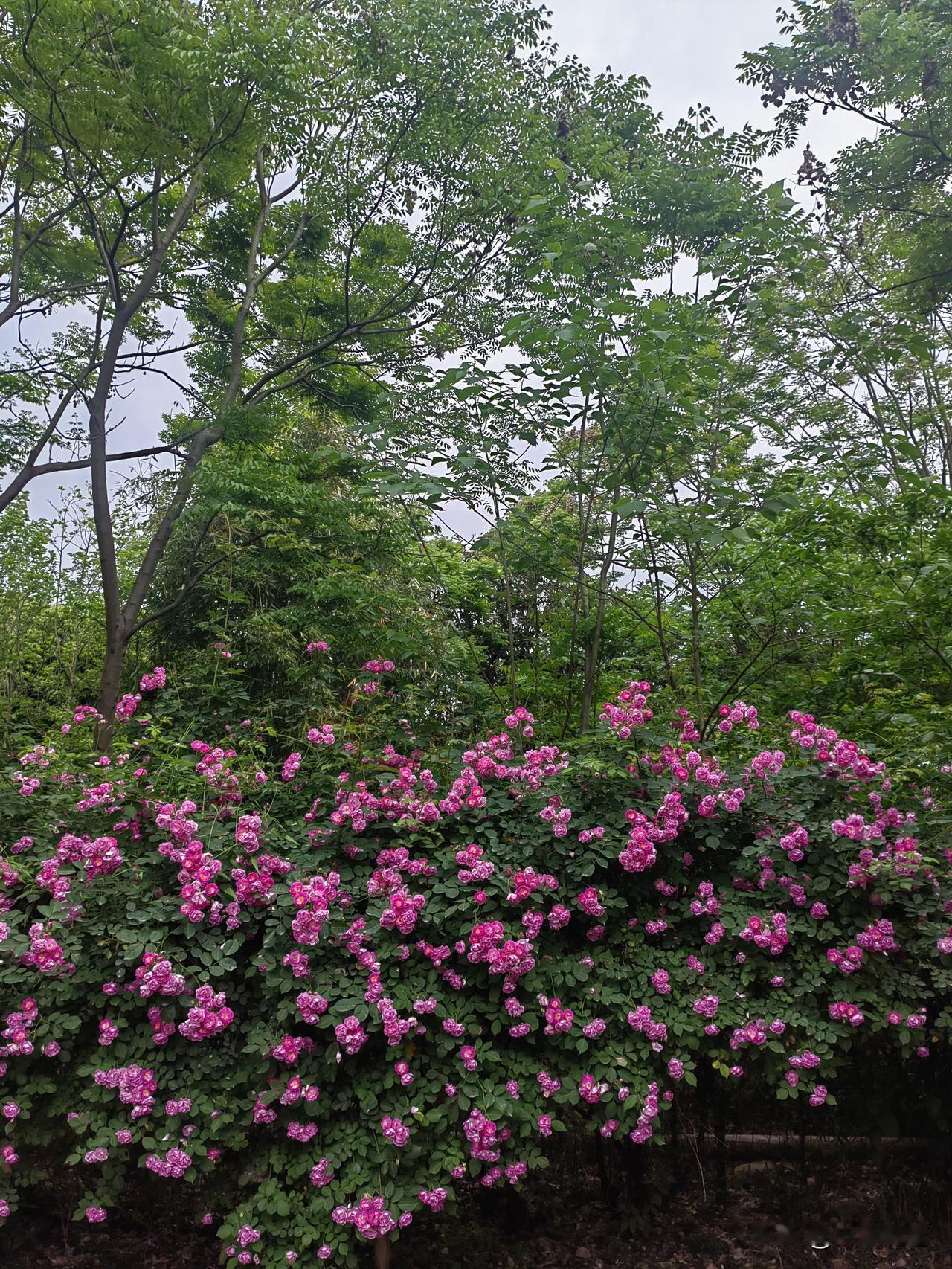 千万不要和那些没有利益关系又不断挑你毛病的人纠缠，他们只是想显摆自己，用贬低你来