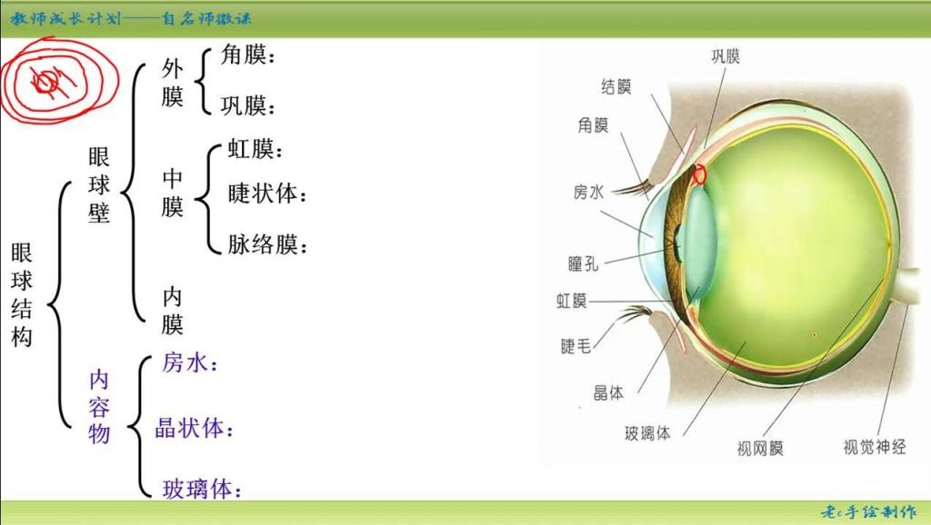 人口与教育的制约作用_安全教育手抄报(3)