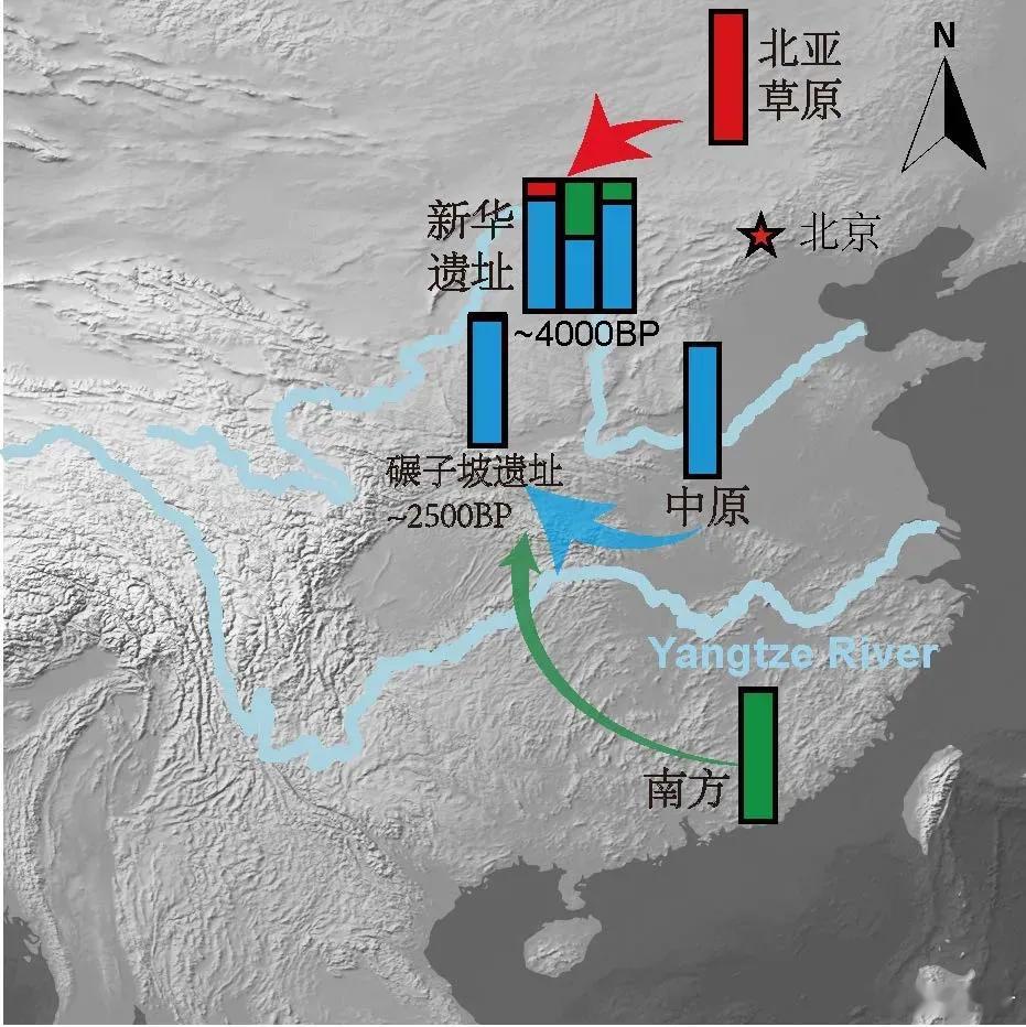 石峁人有南方基因黄土高原史前人群遗传研究新发现复旦大学团队通过古DNA分析发现